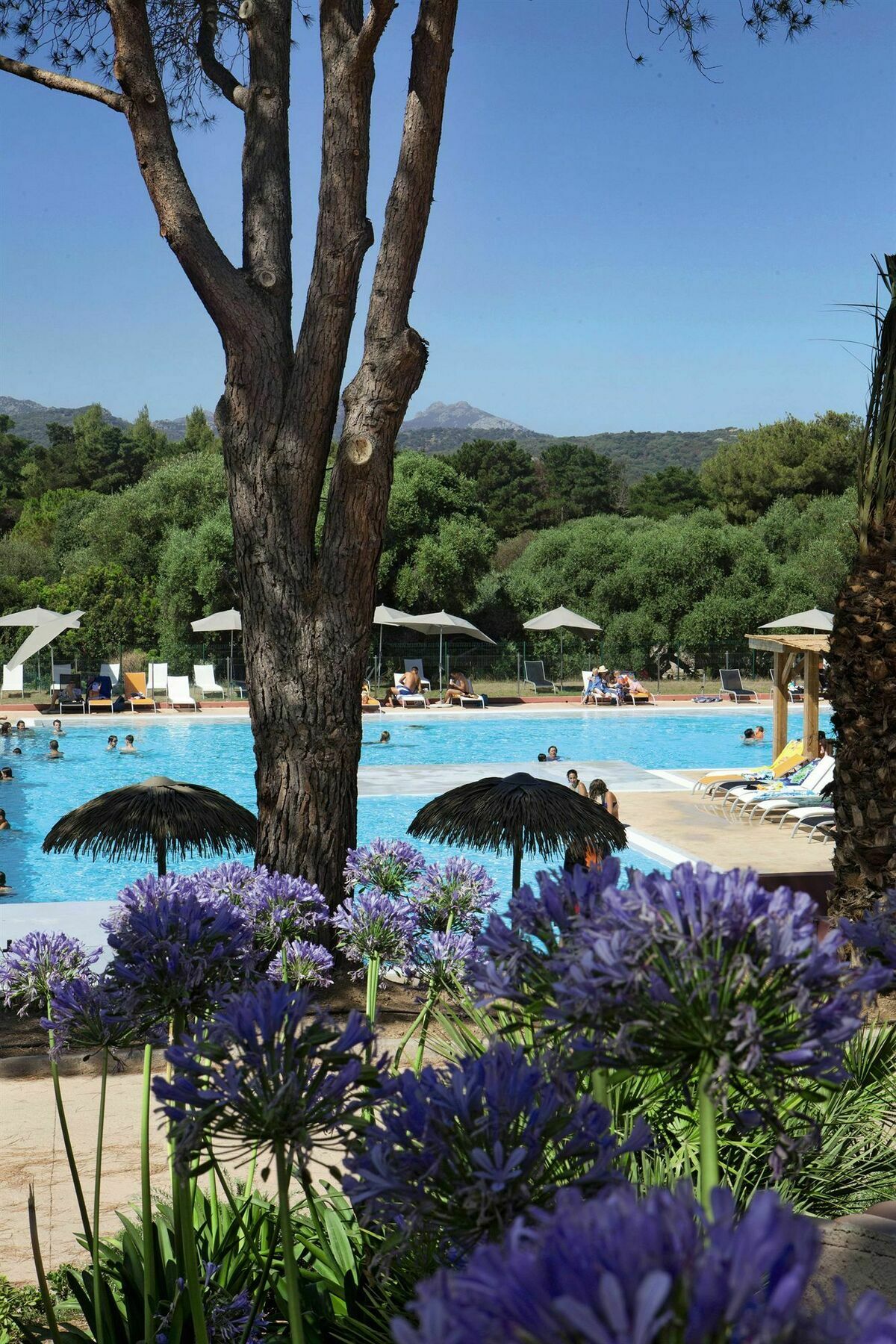 Готель Belambra Clubs Belgodere - Golfe De Lozari Екстер'єр фото